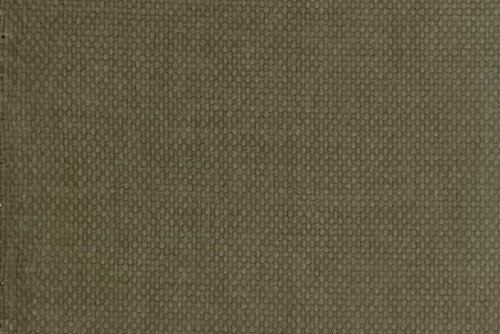 Scatter/Pillow: Garda Wheat (Band D)